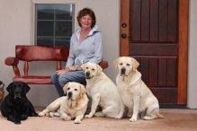 ENGLISH LABRADORS