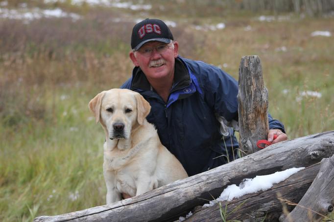 grand champion labrador hunting dogs